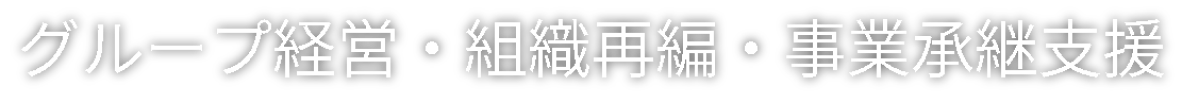 グループ経営・組織再編・事業継承支援